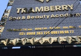 TRANG TRÍ SPA BẰNG TẤM ỐP DA TẠI HÓC MÔN