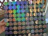 Lắp Đặt Tấm Sequin: Quy Trình Nhanh Chóng & Lợi Ích Của Dịch Vụ Chuyên Nghiệp